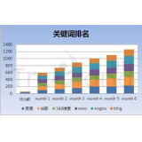 台儿庄如何防止SEO关键词排名下降