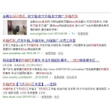 台儿庄朱安安：SEO外链代发行业大揭密